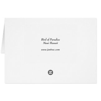 Oiseau du paradis - Maui Hawaï