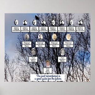 Oiseau en hiver Photo Poster de l'arbre généalogiq