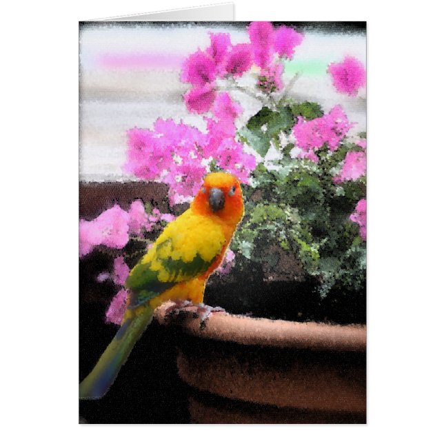 Oiseau exotique (Devant)