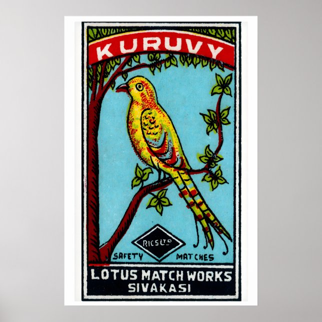 Oiseau jaune dans l'arbre - Impression de boîte d' (Devant)