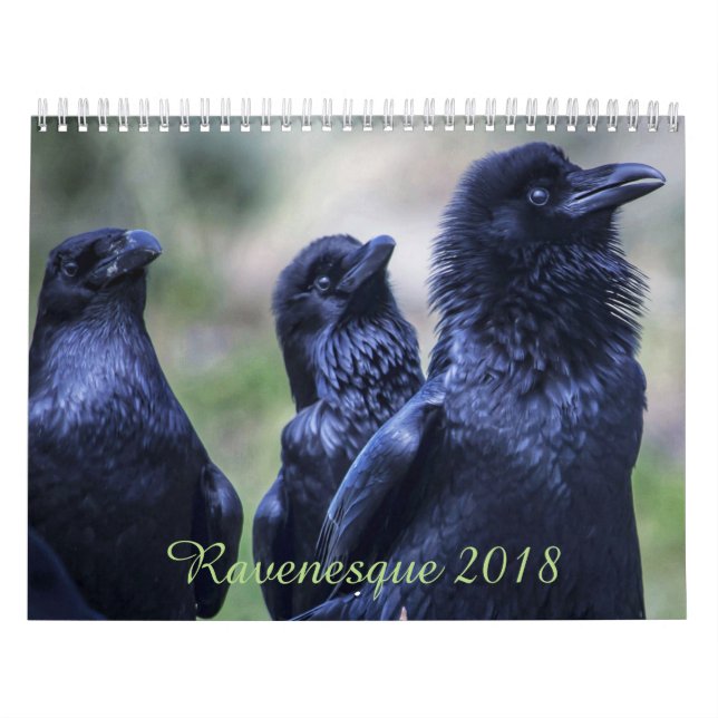 Oiseau magique 2018 de Ravenesque calendrier de 18 (Protection)