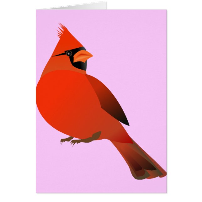Oiseau masculin cardinal rouge (Devant)