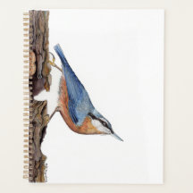 Oiseau Nuthatch (Sitta Europaea)
