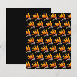 Oiseau orange de Paradis sur papier noir pour scra