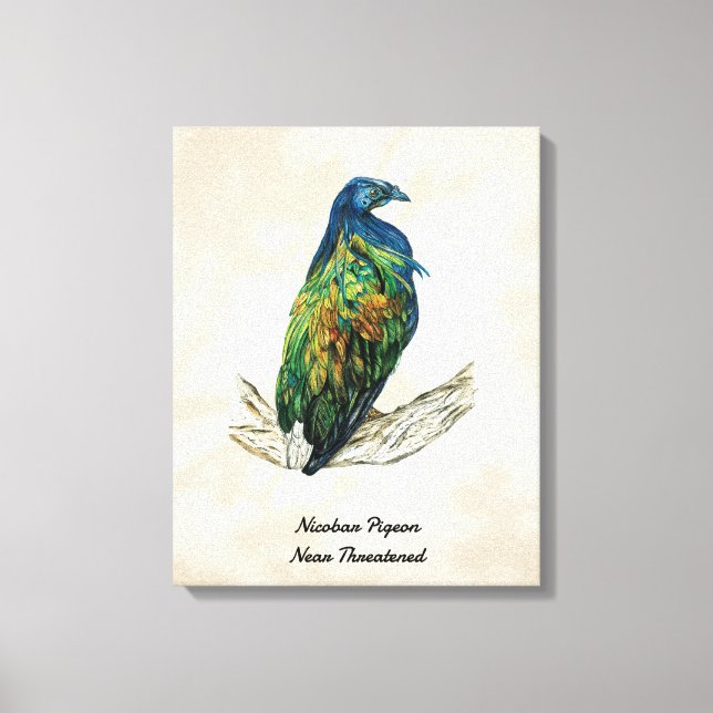 Oiseau peint à la main Imprimer sur toile (Recto)