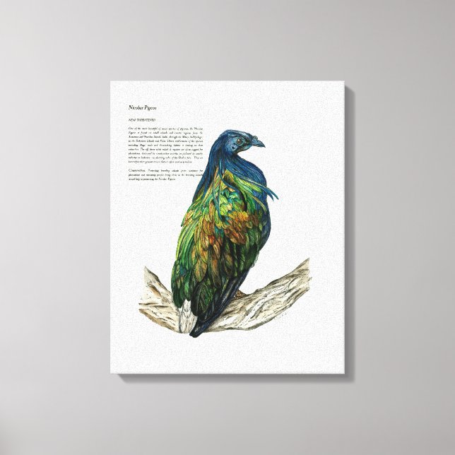 Oiseau peint à la main Imprimer sur toile (Recto)