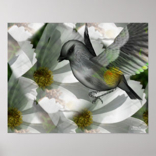 Oiseau sur blanc Cosmos Imaginaire Art Poster
