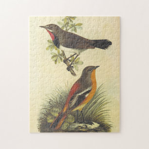 Oiseau sur Branche, Oiseau sur terre Puzzle