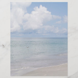 Oiseau sur la plage à l'arrêt