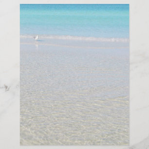 Oiseau sur la plage à l'arrêt