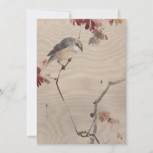 Oiseau sur l'araignée d'observation des branches  