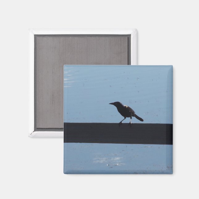 Oiseau sur un aimant de clôture (Recto/Verso)