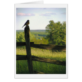 Oiseau sur une carte de clôture