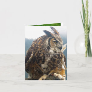 Oiseau trois toute la carte de note d'occasion