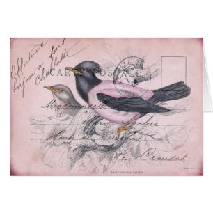 Oiseau vintage