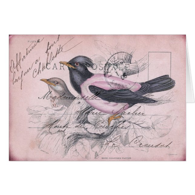Oiseau vintage (Devant horizontal)