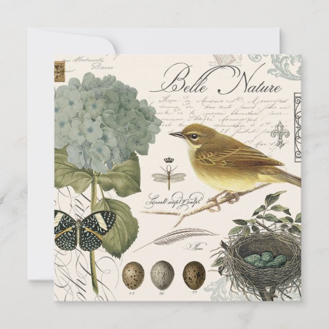 oiseau vintage et nid (Devant)