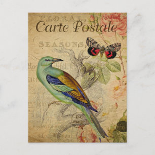 Oiseau Vintage moderne collage floral Carte postal