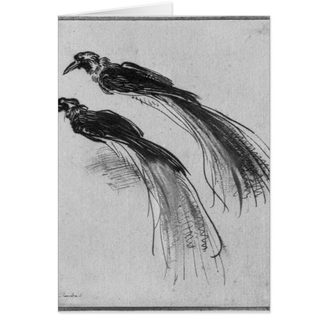 Oiseaux (Devant)