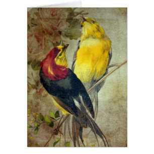 Oiseaux