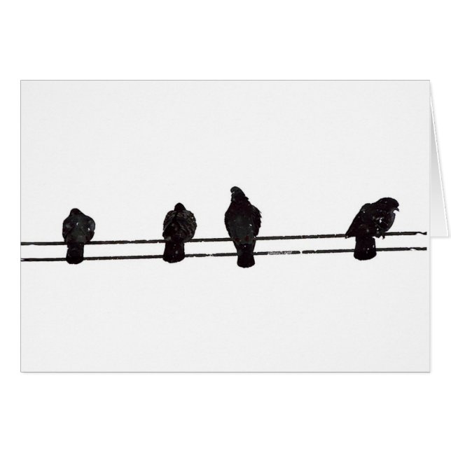 Oiseaux (Devant horizontal)