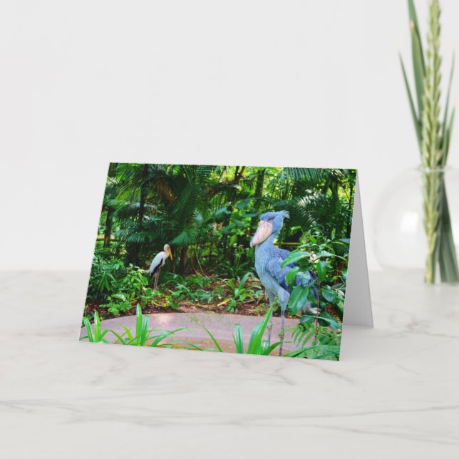 Oiseaux à la carte de voeux de zoo de Singapour (Devant)