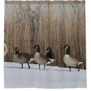 Oiseaux aquatiques d'oies sur le rideau en douche