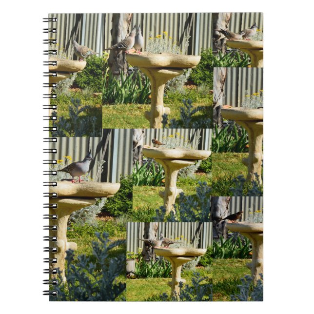 Oiseaux Australiens Sur Bain D'Oiseaux, Carnet (Devant)