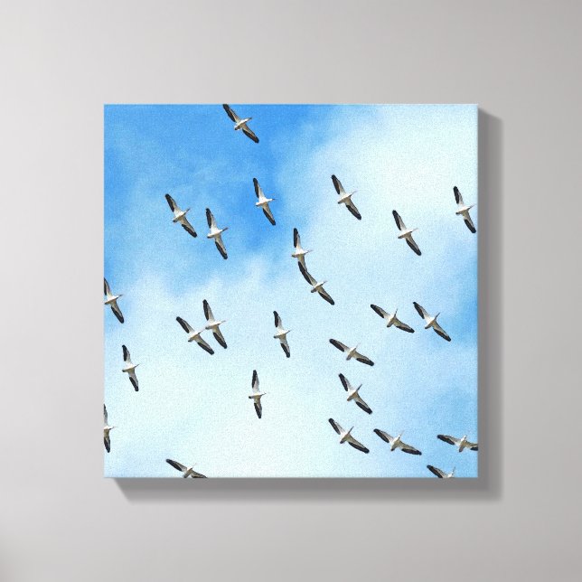 Oiseaux blancs en toile de vol Imprimer (Recto)