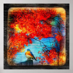 Oiseaux bleus chanson, affiche