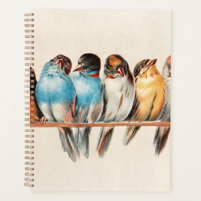 Oiseaux Bleus & Jaunes Assis Joliment (Devant)