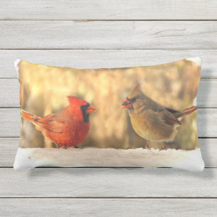Oiseaux cardinaux dans le coussin extérieur animal