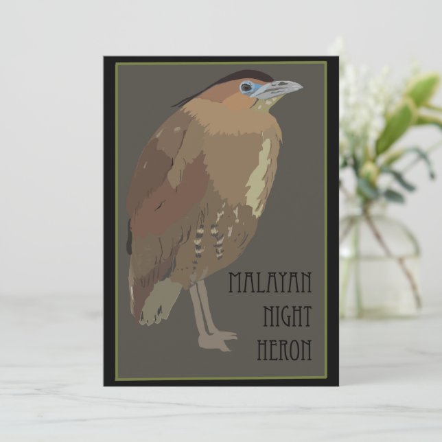 Oiseaux - Carte du Héron Nuit Malais (Debout devant)