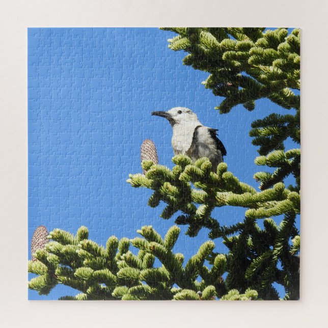 Oiseaux, Casse-Noisette de Clark, faune, puzzle (Vertical)