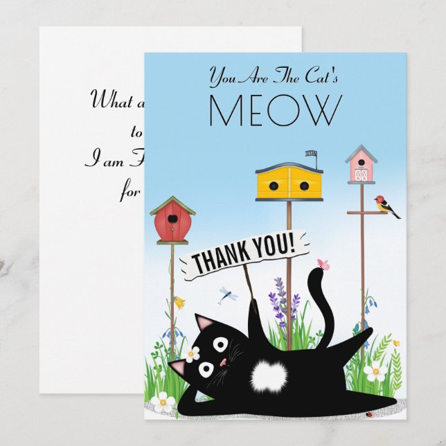 Oiseaux chats jardin merci (Devant / Derrière)