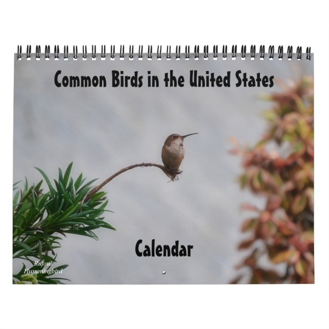 Oiseaux communs aux États-Unis Calendrier (Protection)