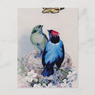 Oiseaux dans la carte postale du nid