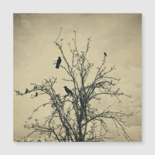 Oiseaux dans l'arbre   -    