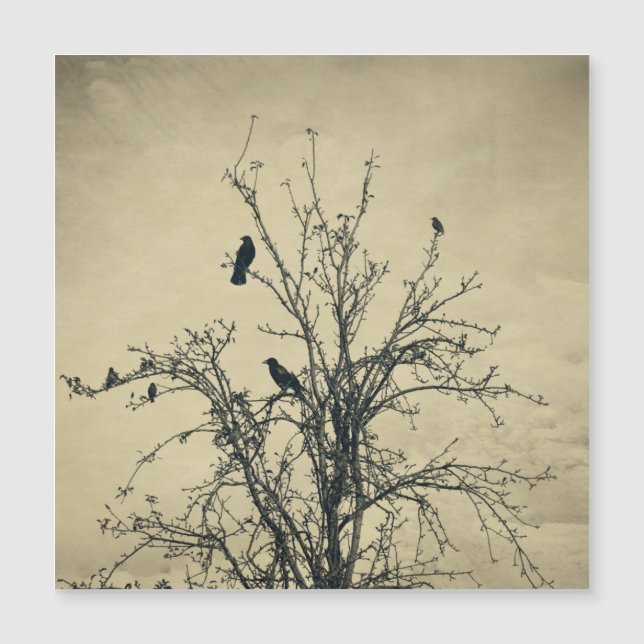 Oiseaux dans l'arbre   -     (Devant)