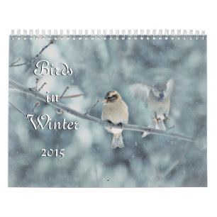 Oiseaux dans le calendrier de l'hiver 2015