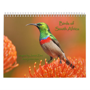 Oiseaux de calendrier de l'Afrique du Sud