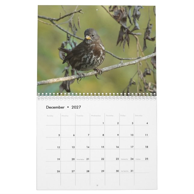 Oiseaux de calendrier de l'Amérique du Nord 2019 (Dec 2027)