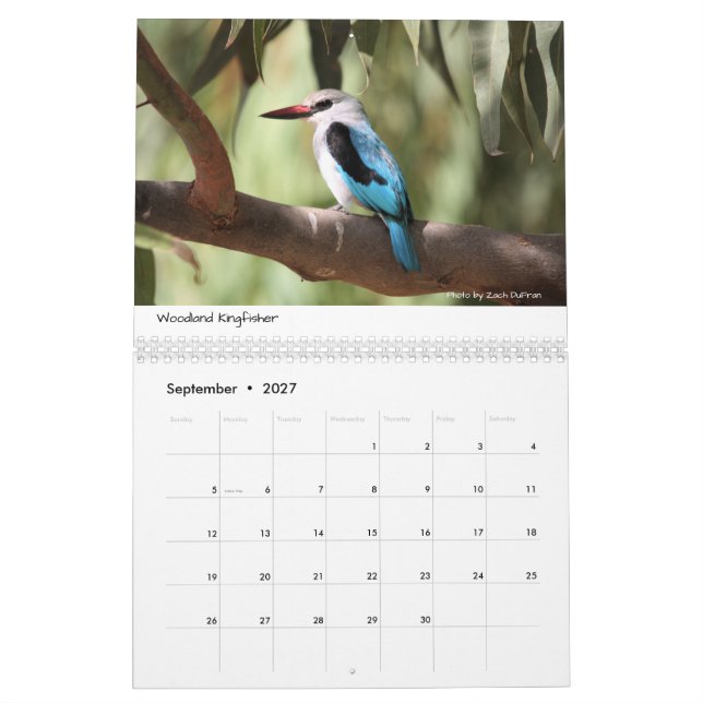 Oiseaux de calendrier de l'Ethiopie (Sep 2027)