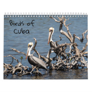 Oiseaux de calendrier du Cuba