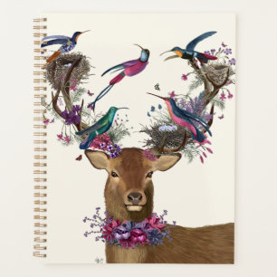 Oiseaux de cerfs, nids d'oiseaux tropicaux