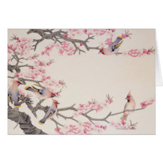Oiseaux de chant au printemps