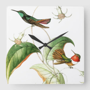 Oiseaux de colibri Fleurs florales Horloge murale
