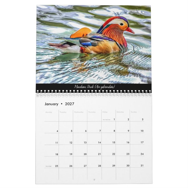 Oiseaux de la forêt de Dean 2021 Calendrier (Jan 2027)