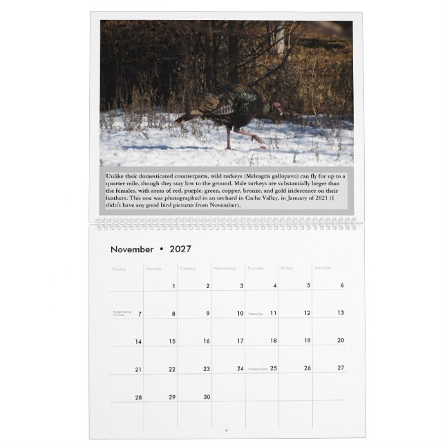 Oiseaux de l'Utah Calendrier 2027 (Nov 2027)
