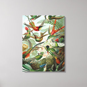 Oiseaux de mer colorés Vintage toile enveloppée Im